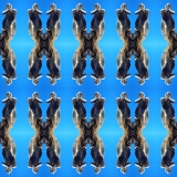 PLANCHE CHROMOSOMIQUE. - Les jeux de doubles