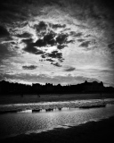 HALLOWEEN DAY. - Les B&W
