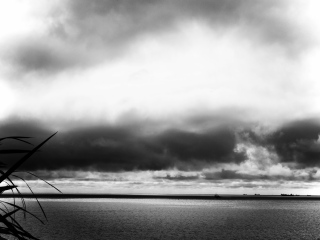 HORIZON. - Les B&W