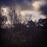 MYSTERIOUS MILL. - Les sépia