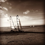 CHARS À VOILE. - Les sépia